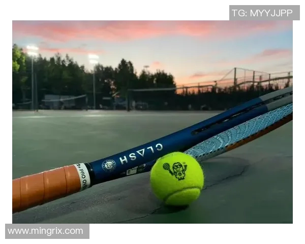 科学网球:提升个人技能的全面训练策略与方法探讨